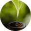 Extratos Naturais